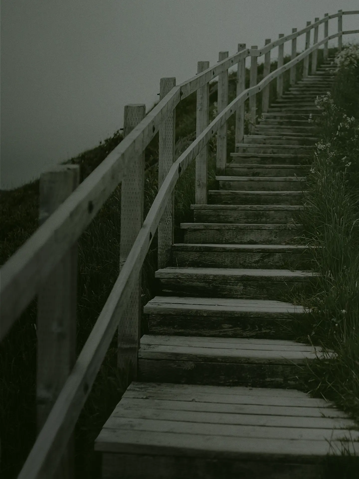 Weathered wooden stairs climbing through grass