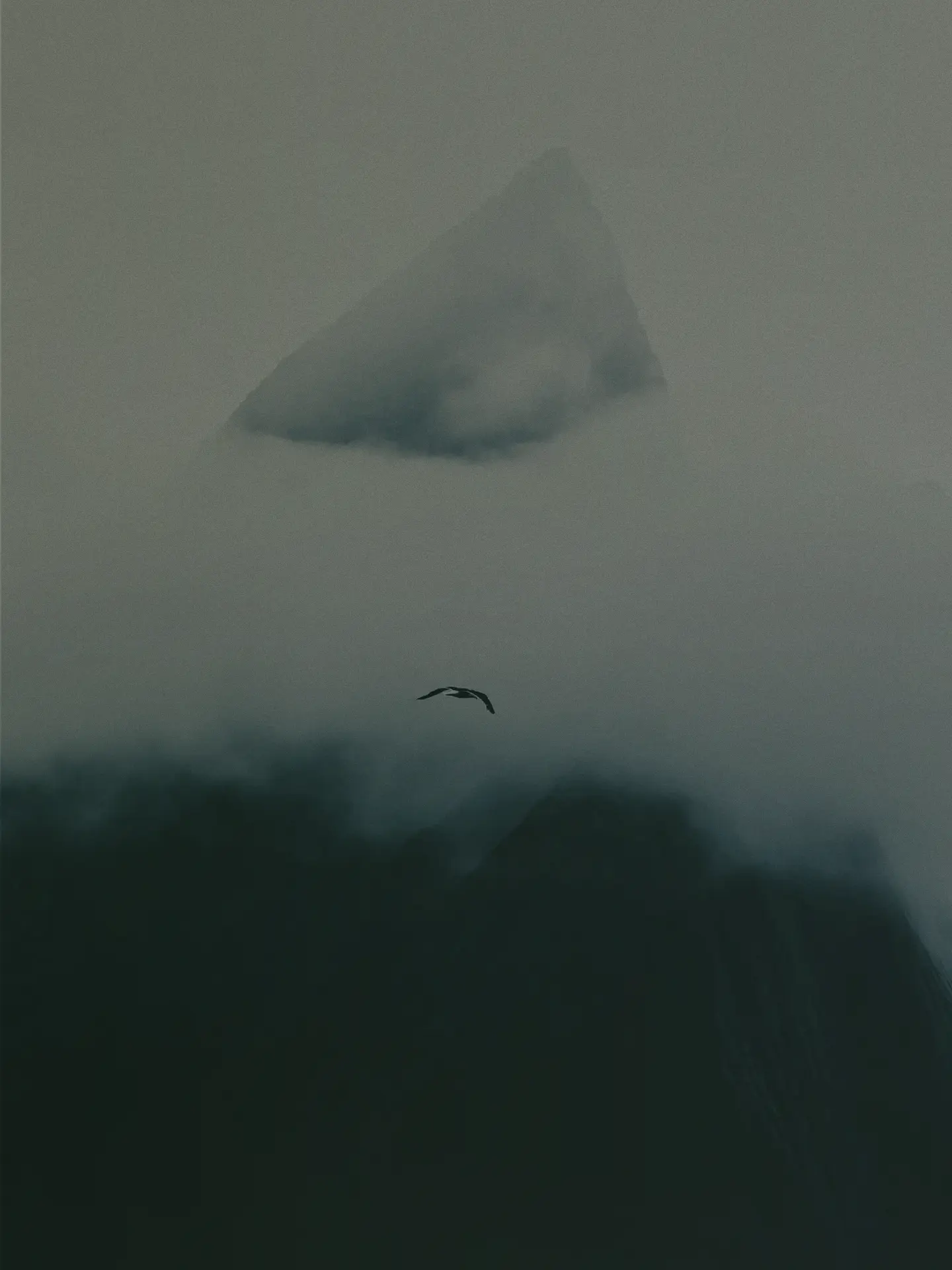 Mountain peak emerging through dense fog with a bird in flight