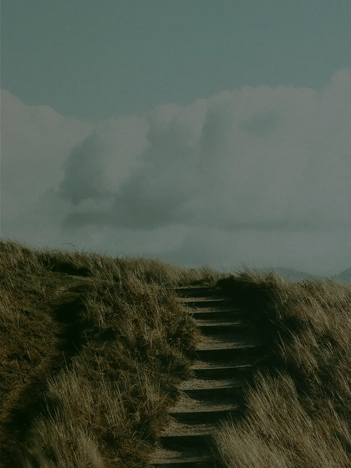 Wooden steps climbing through dune grass under a cloudy sky